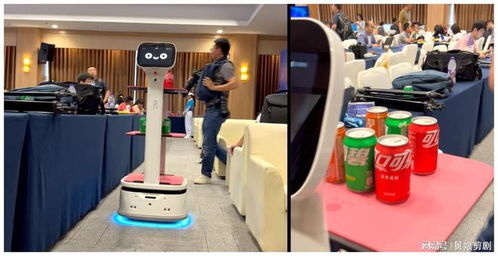 共创美好未来 洛必德机器人服务2023重庆西洽会